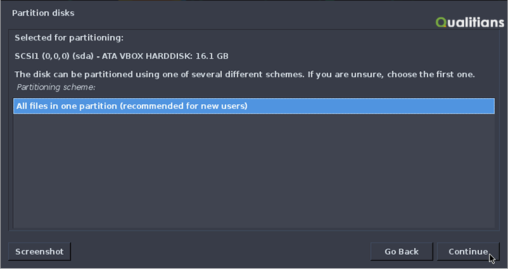 Partition Disks - Install all files in one partition