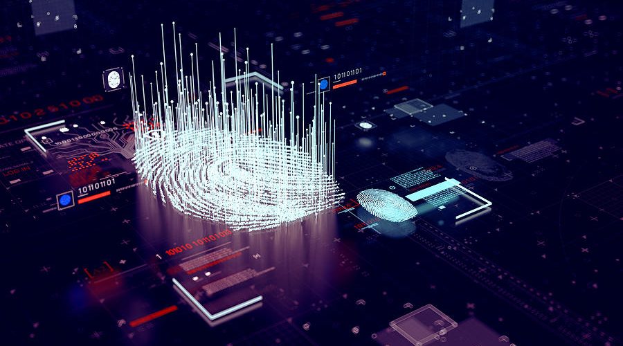 A detailed guide on data privacy for beginners in the tech industry.