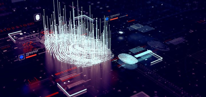 A detailed guide on data privacy for beginners in the tech industry.