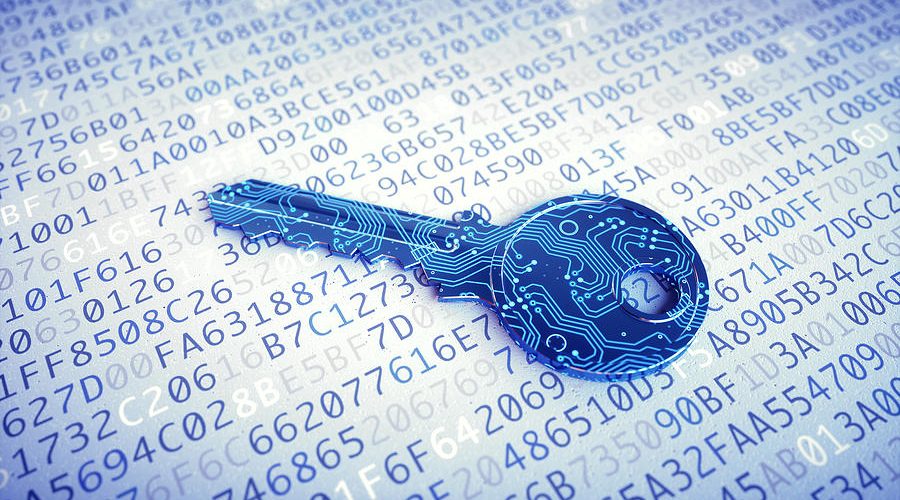 Essential data privacy tips for freshers